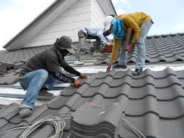 Best Sheet Metal Roofing  in Vamo, FL